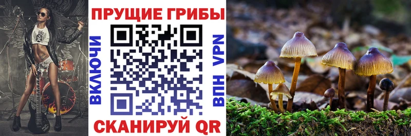 MEGA онион  Тихорецк  Галлюциногенные грибы ЛСД 