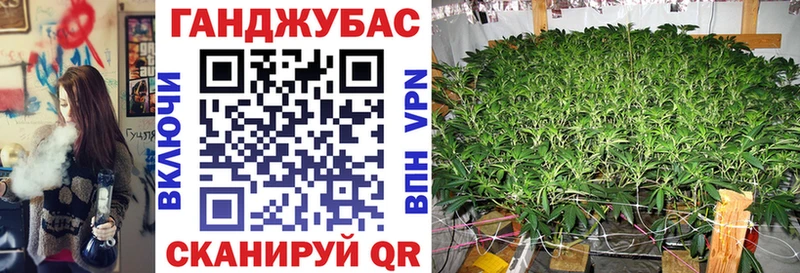 Шишки марихуана марихуана  Тихорецк 